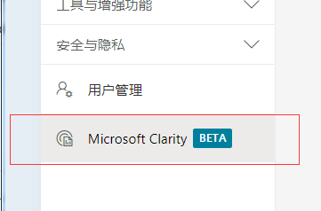 Bing站长工具注册Microsoft Clarity