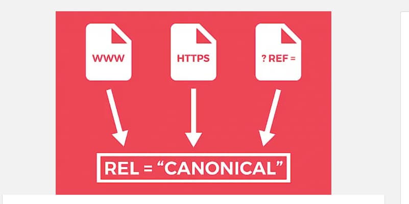 什么是Canonical URL标准链接