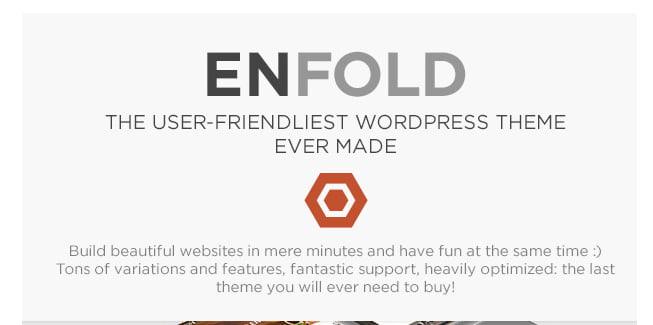 WordPress Enfold主题特点