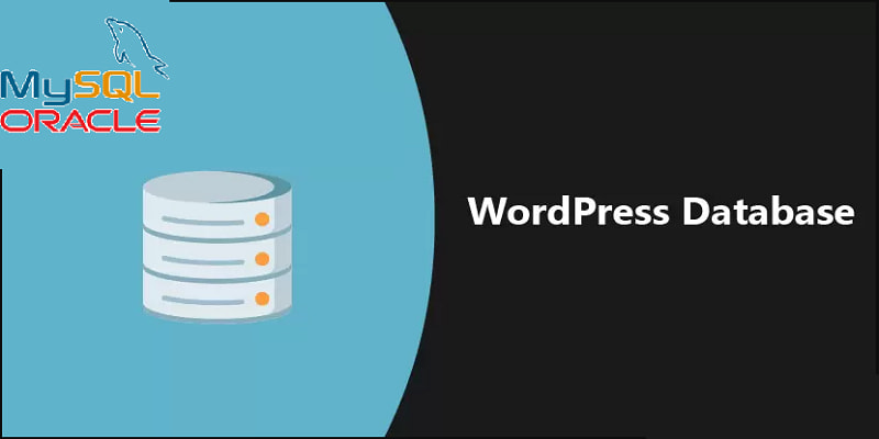 什么是WordPress数据库