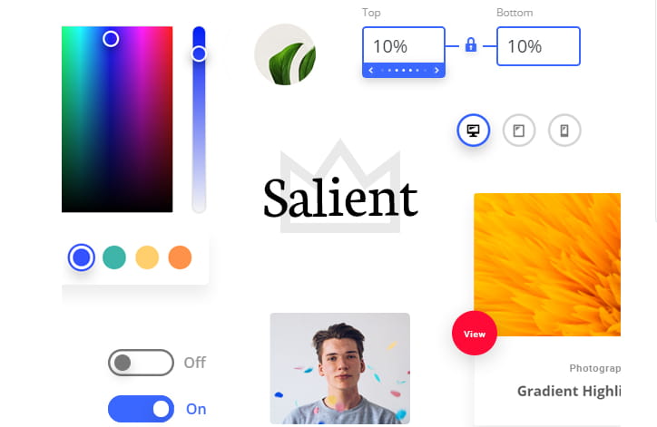 WordPress响应式多用途主题Salient主题功能