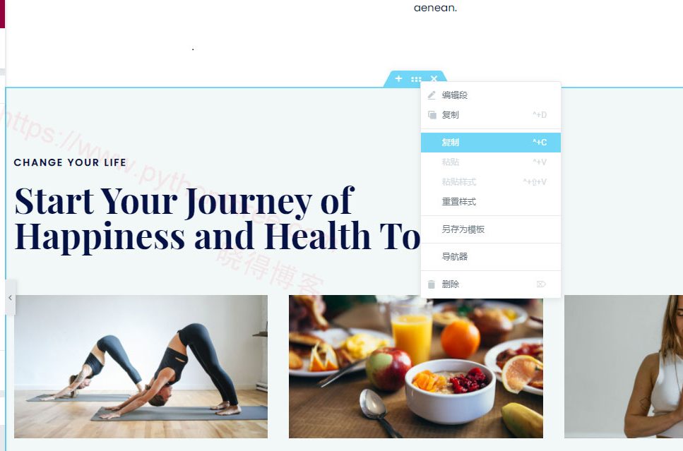 如何在Elementor中保存导出模板 - 晓得博客 将Elementor部分页面另存为模板
