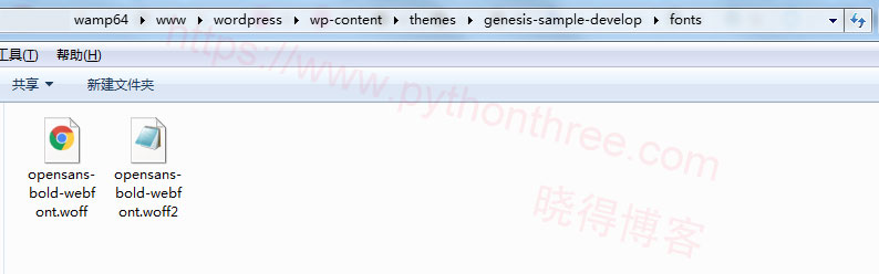 如何将自定义字体添加到Genesis子主题 - 晓得博客 将字体文件上传到您的网站