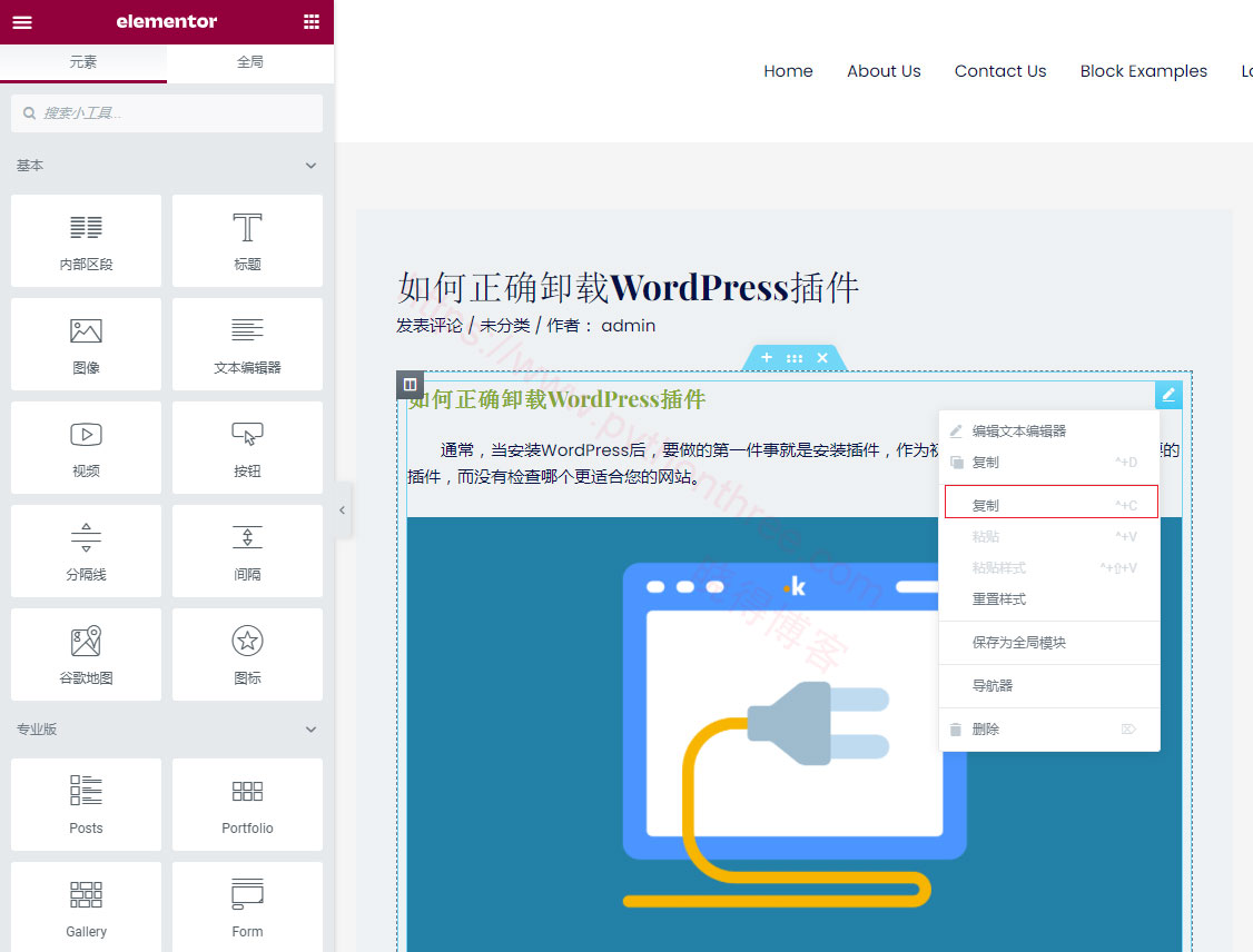 如何在Elementor中复制和粘贴样式和内容