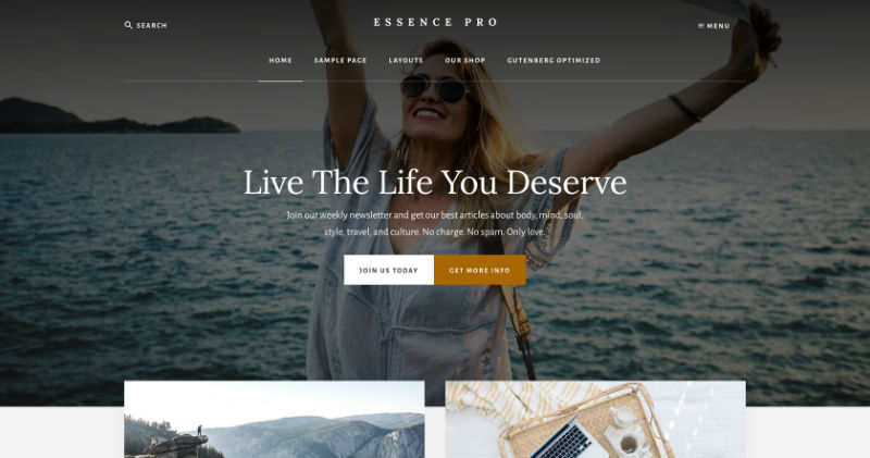 WordPress 5个好看又实用的Genesis子主题 - 晓得博客 Genesis子主题Essence-Pro-Theme