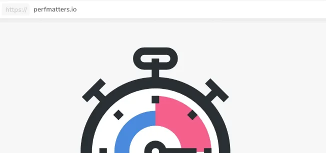 Perfmatters插件教程轻量WordPress性能优化插件