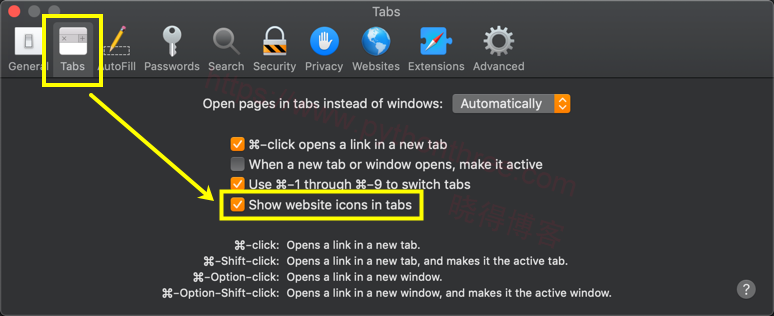 如何在Safari macOS中启用Favicon - 晓得博客 转到macOS中的Safari偏好设置