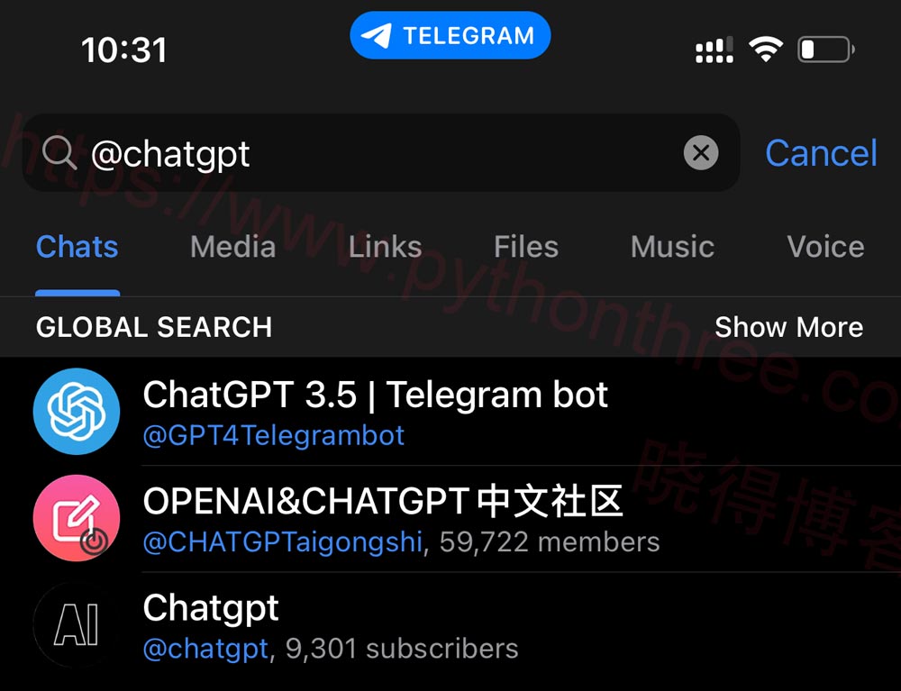 用ChatGPT Bot 在Telegram上使用 ChatGPT