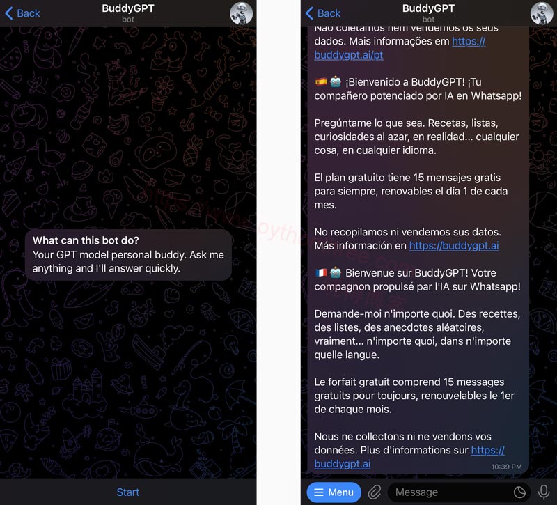 如何在Telegram上使用ChatGPT - 晓得博客 开始使用BuddyGPT聊天