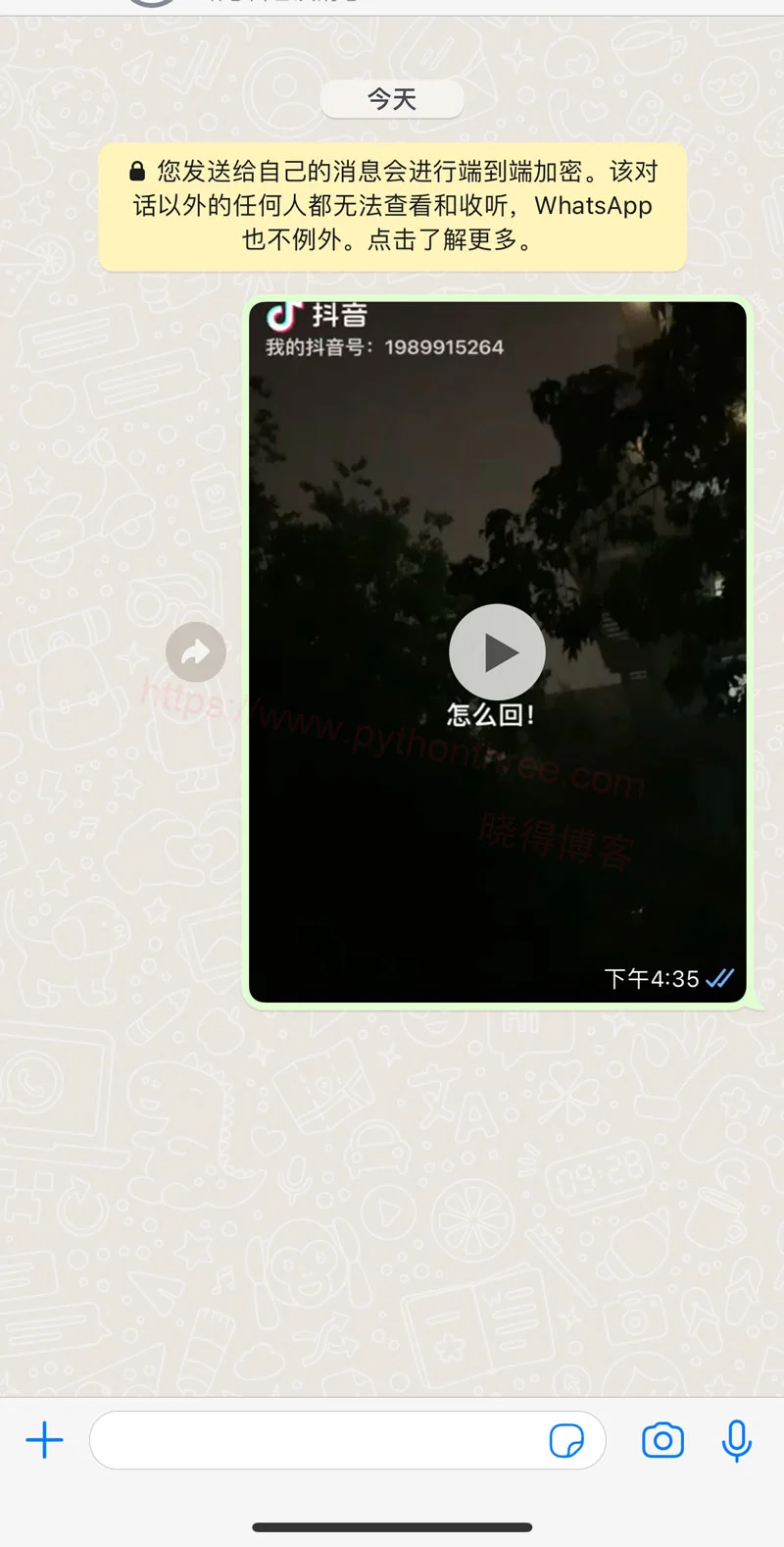 在Whatsapp上录制和发送视频消息