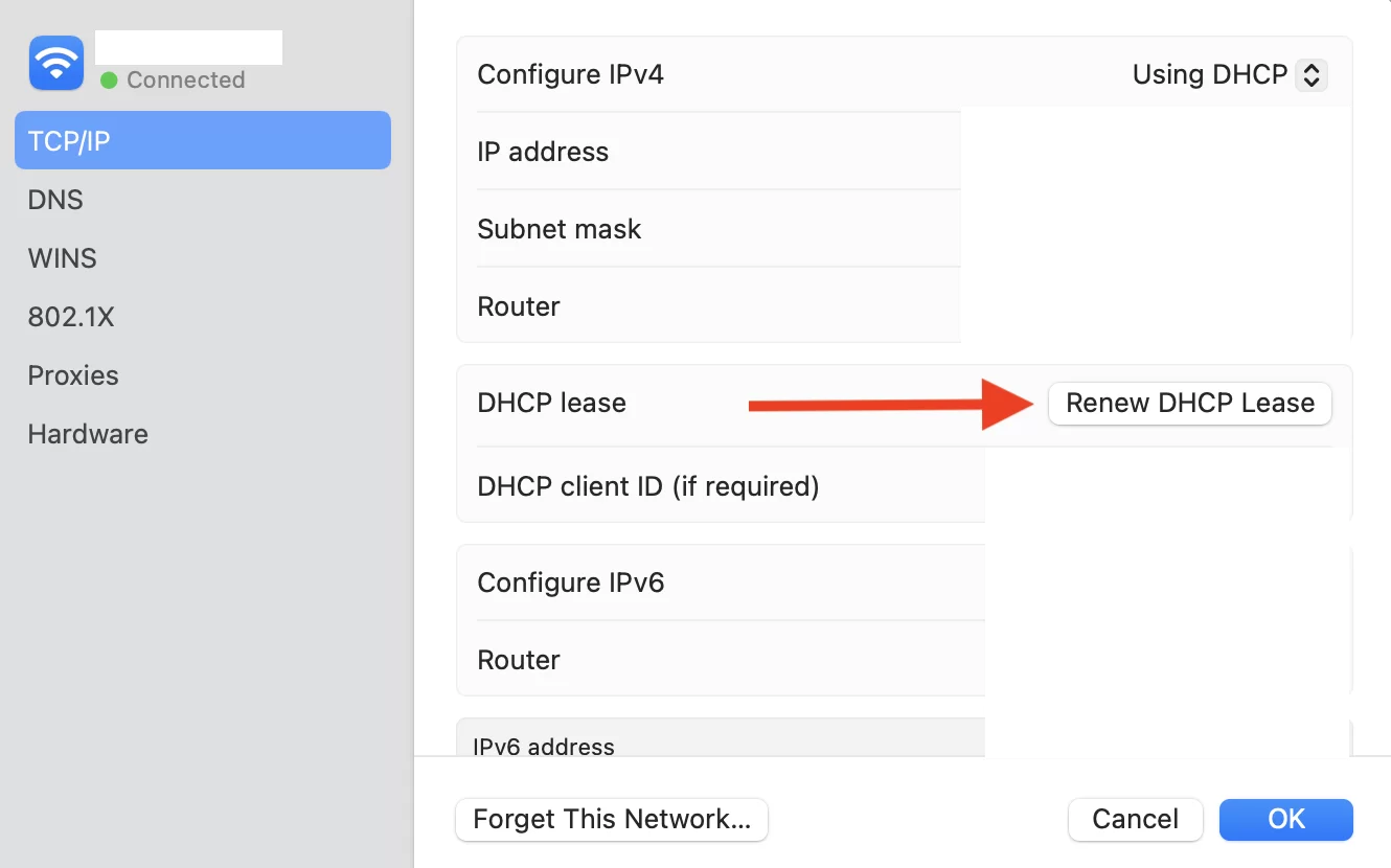 如何解决ERR_NAME_NOT_RESOLVED错误 8 1746252511 在 MacOS 上重置网络设置