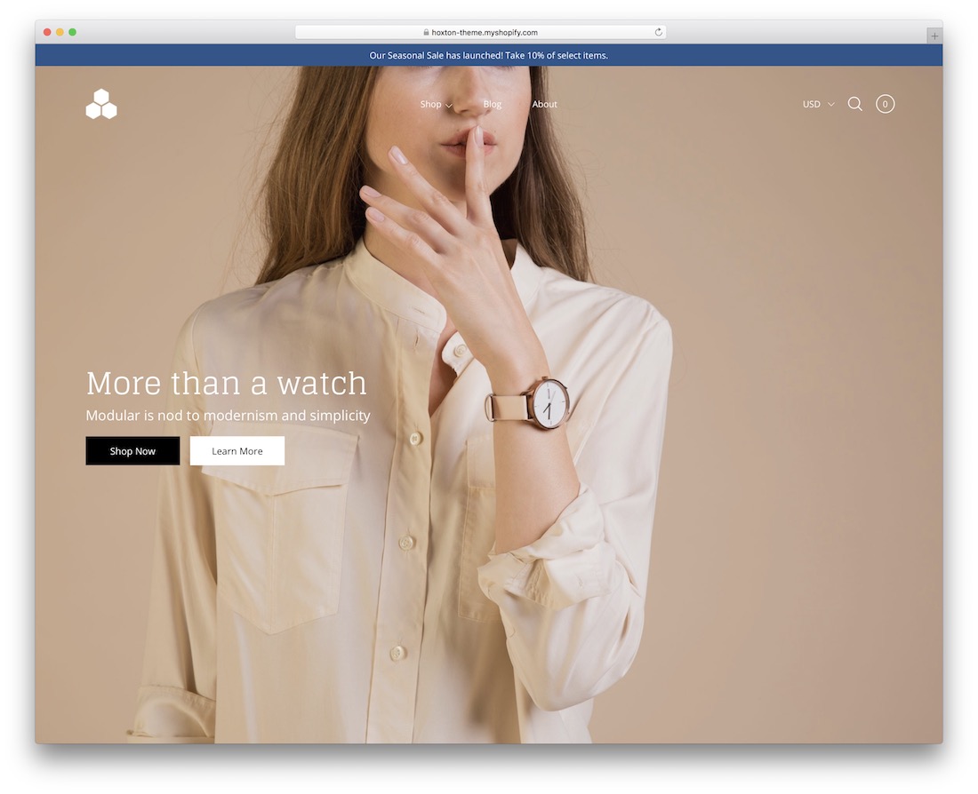 9款最佳Shopify珠宝主题 10 Modular